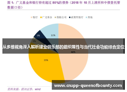 从多维视角深入解析建业俱乐部的组织属性与当代社会功能综合定位