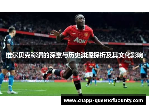 维尔贝克称谓的深意与历史渊源探析及其文化影响