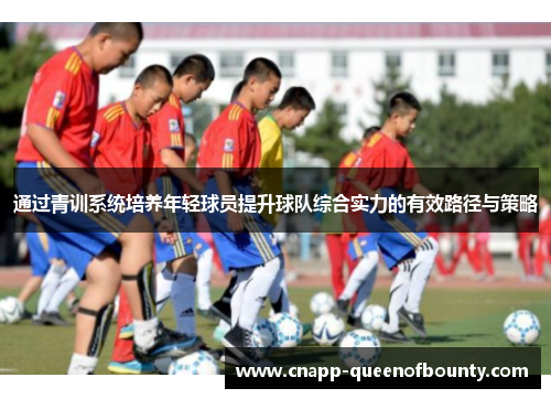 通过青训系统培养年轻球员提升球队综合实力的有效路径与策略