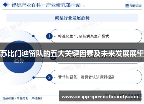 苏比门迪留队的五大关键因素及未来发展展望