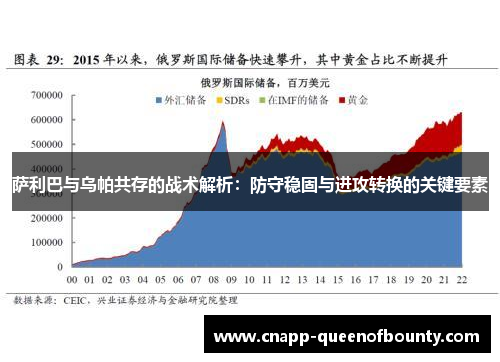 萨利巴与乌帕共存的战术解析：防守稳固与进攻转换的关键要素