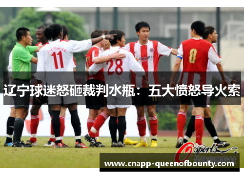 辽宁球迷怒砸裁判水瓶：五大愤怒导火索