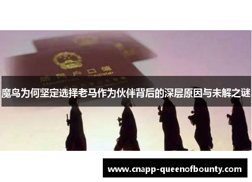 魔鸟为何坚定选择老马作为伙伴背后的深层原因与未解之谜