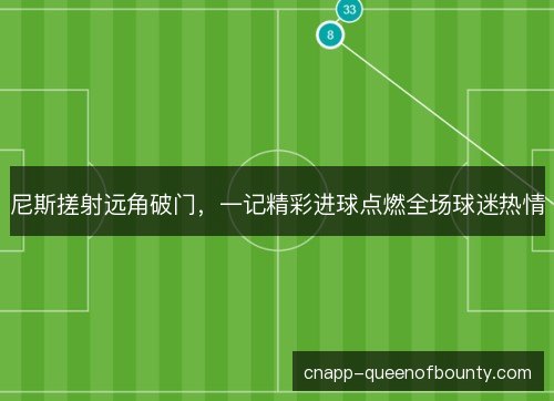 尼斯搓射远角破门，一记精彩进球点燃全场球迷热情