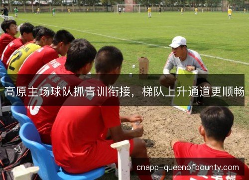 高原主场球队抓青训衔接，梯队上升通道更顺畅